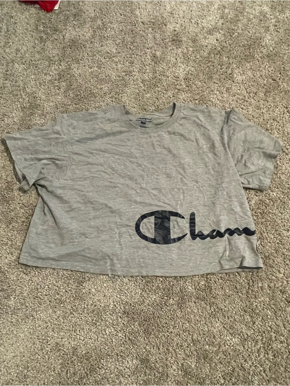 Champion Gray Crop Top